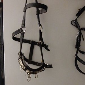 Shires Horse Lunge Cavesson EUC